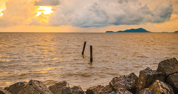 featured-image